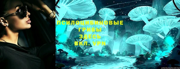spice Новодвинск
