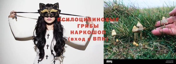 каннабис Кадников